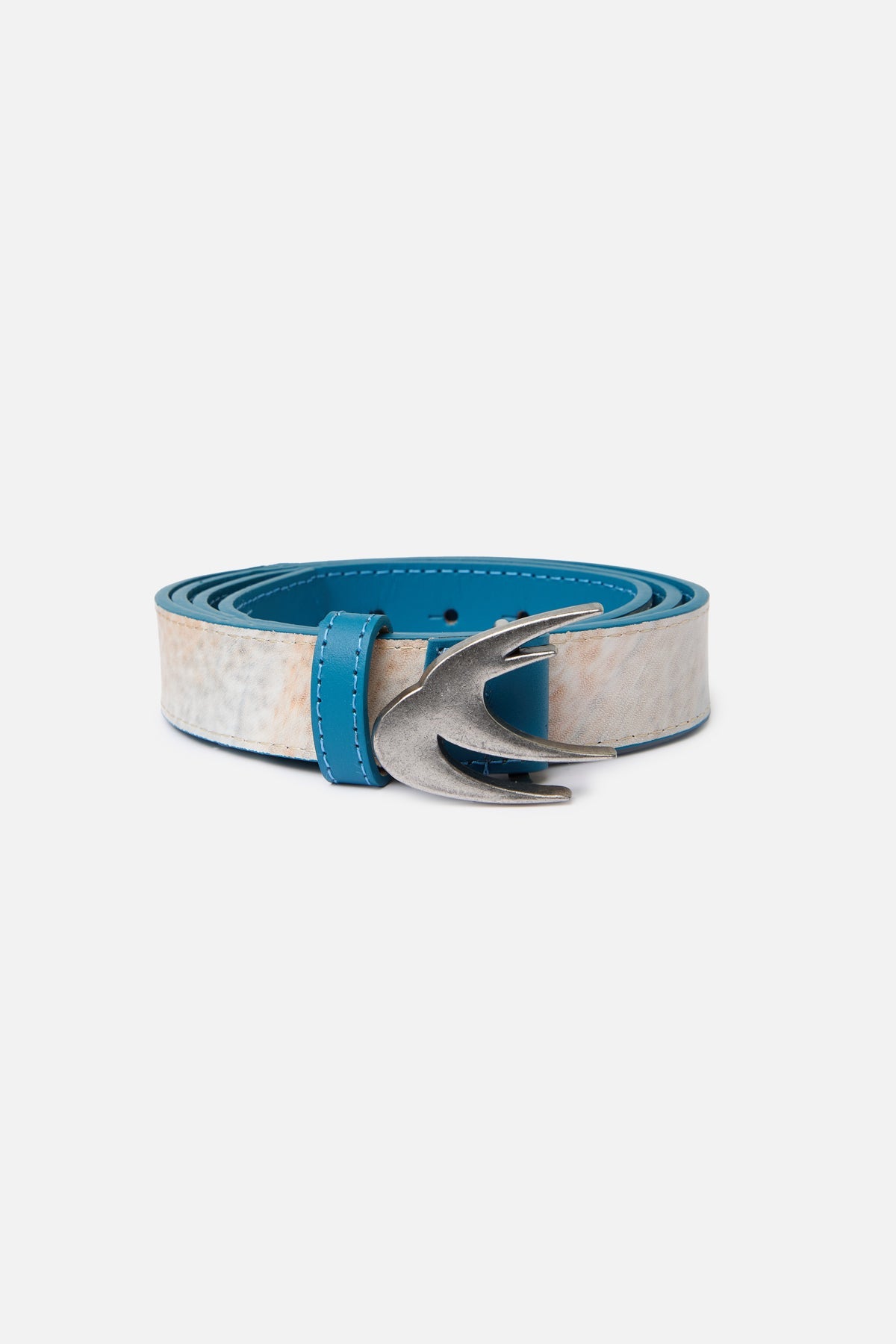 Ceinture bleue du paysage marin