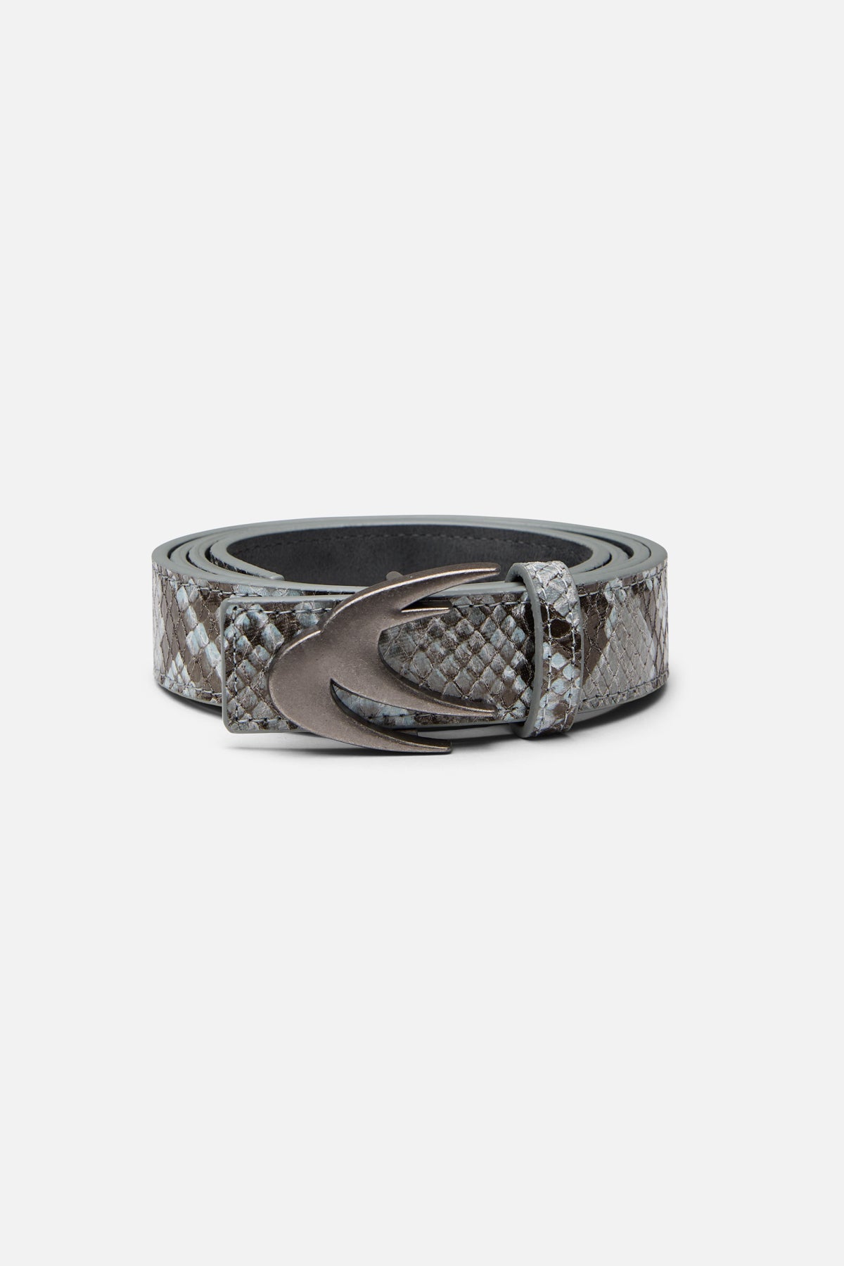 Ceinture blanche du serpent