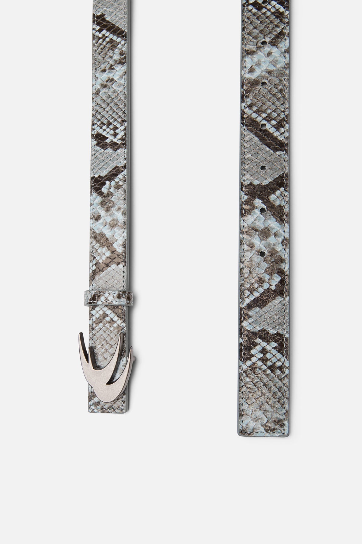 Ceinture blanche du serpent